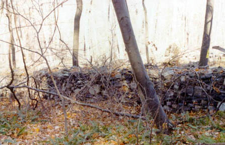 stone fence