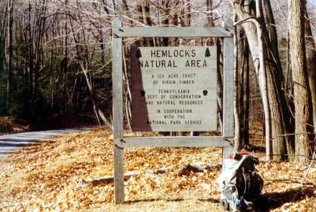 Hemlocks Wilderness Area