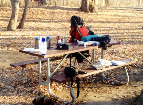 the picnic table