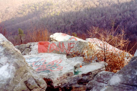 state forest scenic overlook