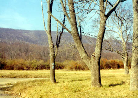 Tuscarora Mountain